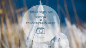 Etykieta konkursu "Fotozima w parkach krajobrazowych", w tle ośnieżone kępy trzciny